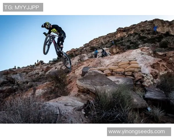 武汉极限运动队揭秘：深度解析他们的盯防策略与训练技巧