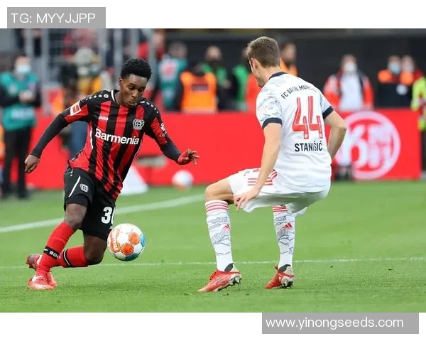 汉堡客场大胜勒沃库森重返德甲野心高涨