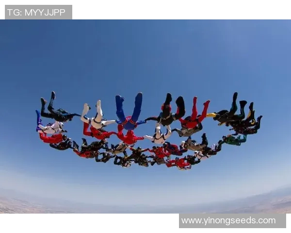 深圳极限运动队心理素质研究：挑战极限与团队协作的内在联系分析