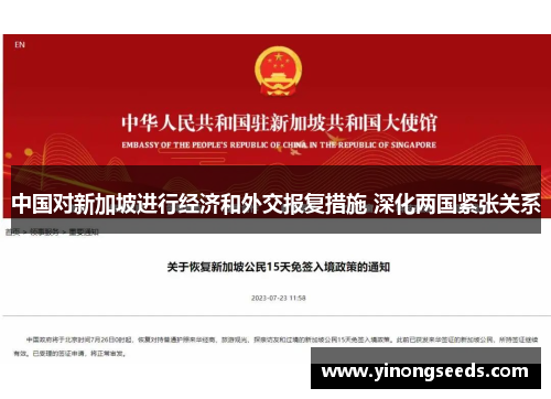 中国对新加坡进行经济和外交报复措施 深化两国紧张关系