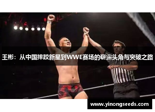 王彬：从中国摔跤新星到WWE赛场的崭露头角与突破之路